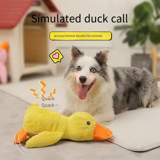 Jouet canard sonore pour chien