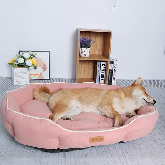 Canapé-lit douillet pour chien et chat