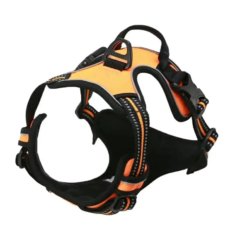 Harnais et laisse en cuir pour chien