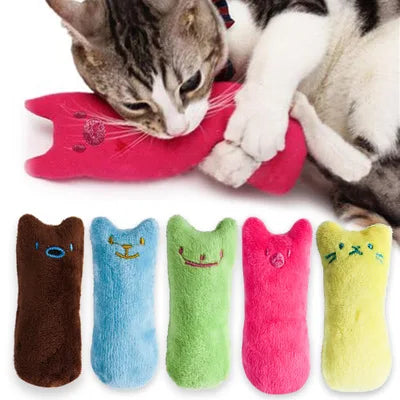 Jouet Herbe à Chat Interactif