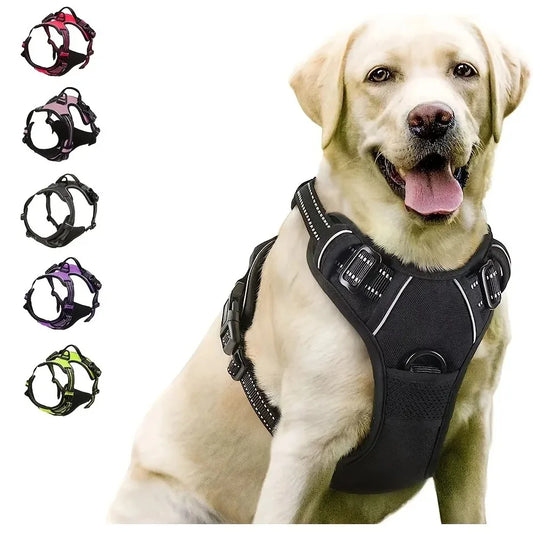 Harnais et laisse en cuir pour chien