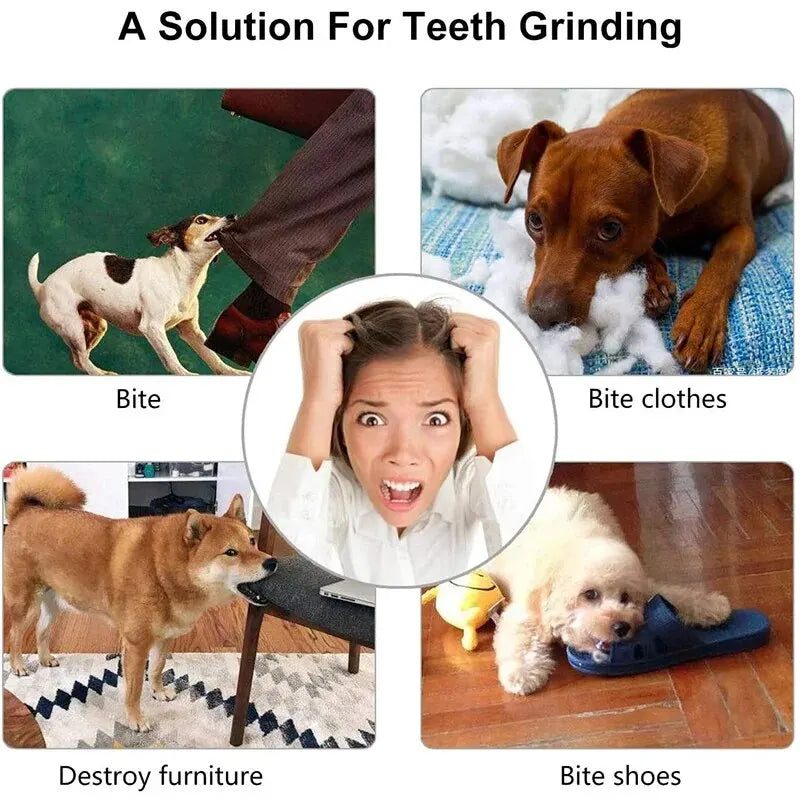 Balle distributrice de friandises pour chien et chat