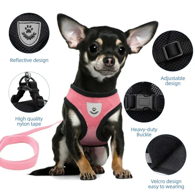 Harnais gilet ajustable pour chat et chien