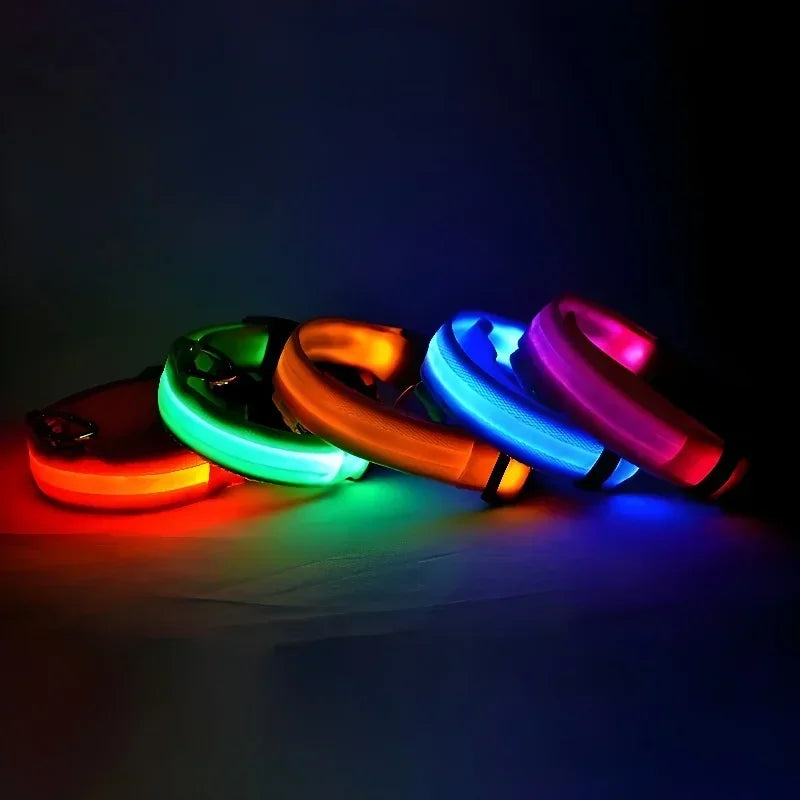Collier LED lumineux pour chien