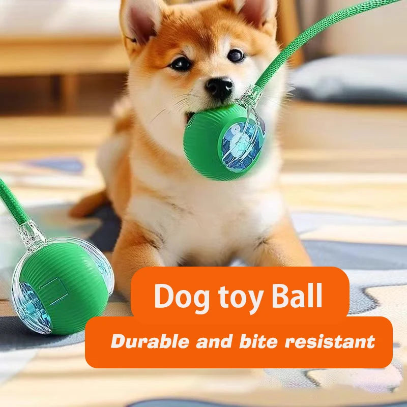 Balle interactive automatique pour chien