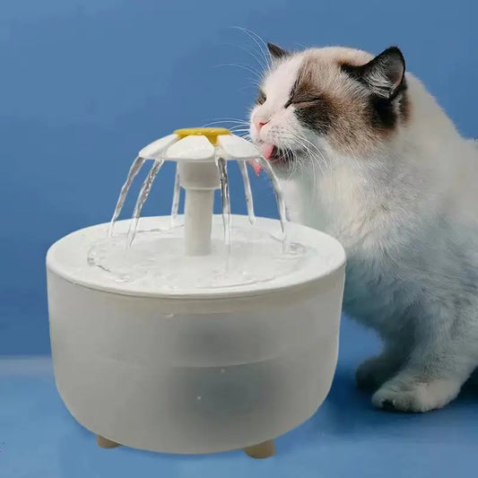 Fontaine à eau automatique filtrante USB pour chats et chiens