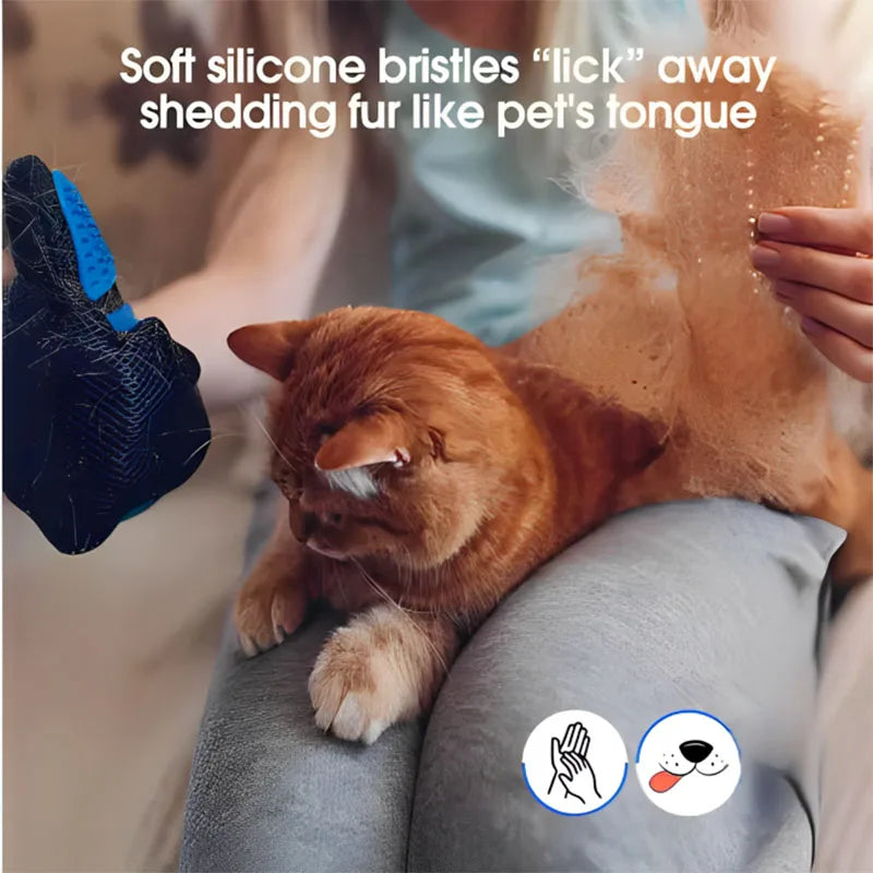 Gant de toilettage pour chien et chat