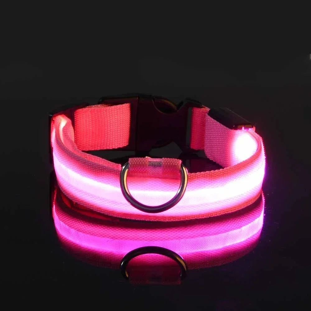 Collier LED lumineux pour chien