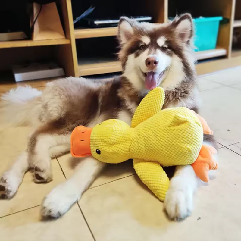 Jouet canard sonore pour chien