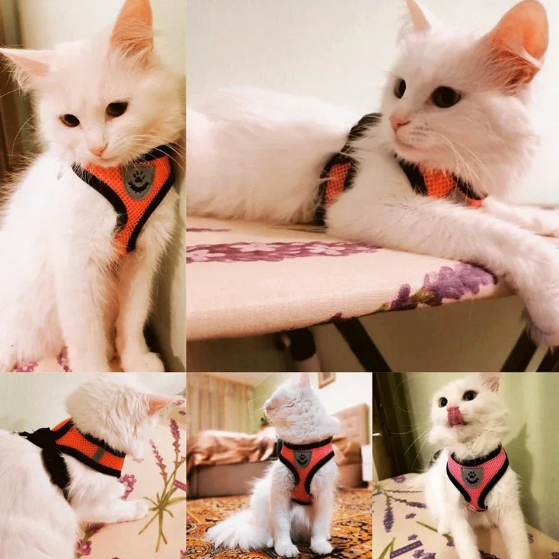 Harnais gilet ajustable pour chat et chien