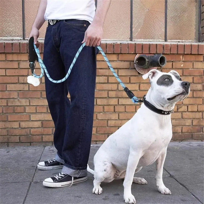 Laisse Réfléchissante pour Chien