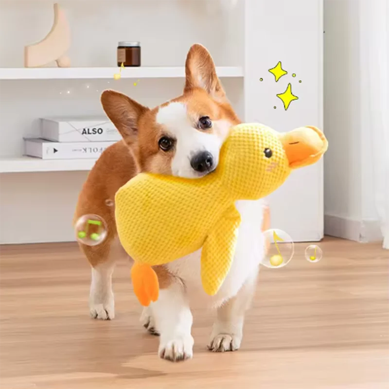 Jouet canard sonore pour chien