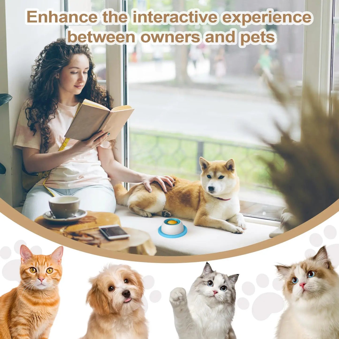 Jouet puzzle distributeur de friandises pour chien