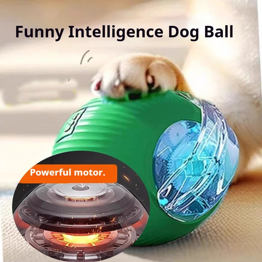 Balle interactive automatique pour chien