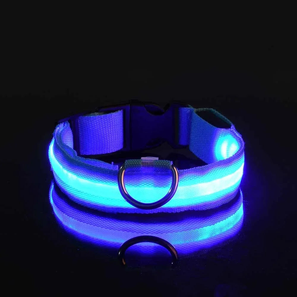 Collier LED lumineux pour chien