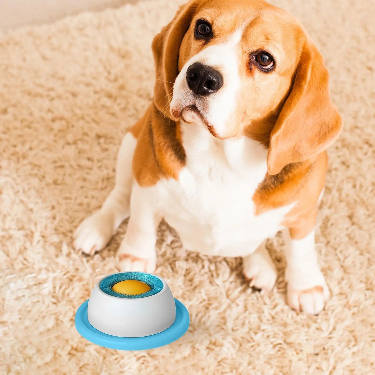 Jouet puzzle distributeur de friandises pour chien