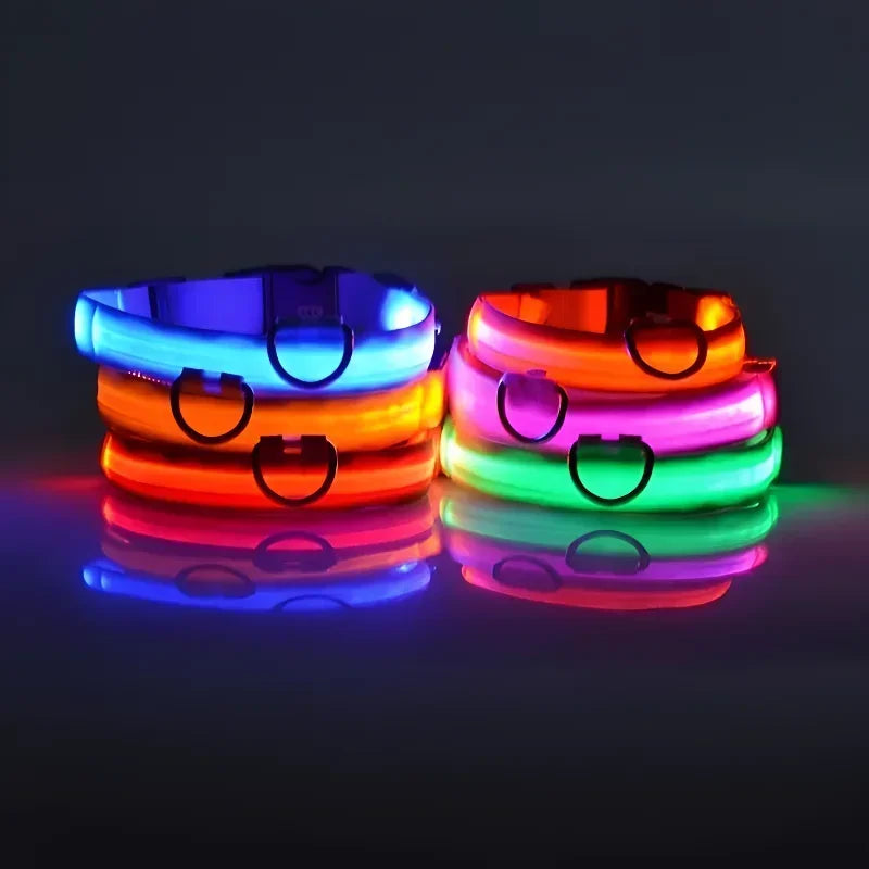 Collier LED lumineux pour chien