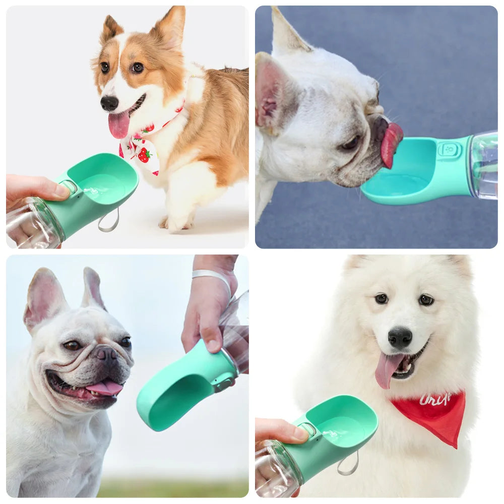 Gourde portable pour chien et chat