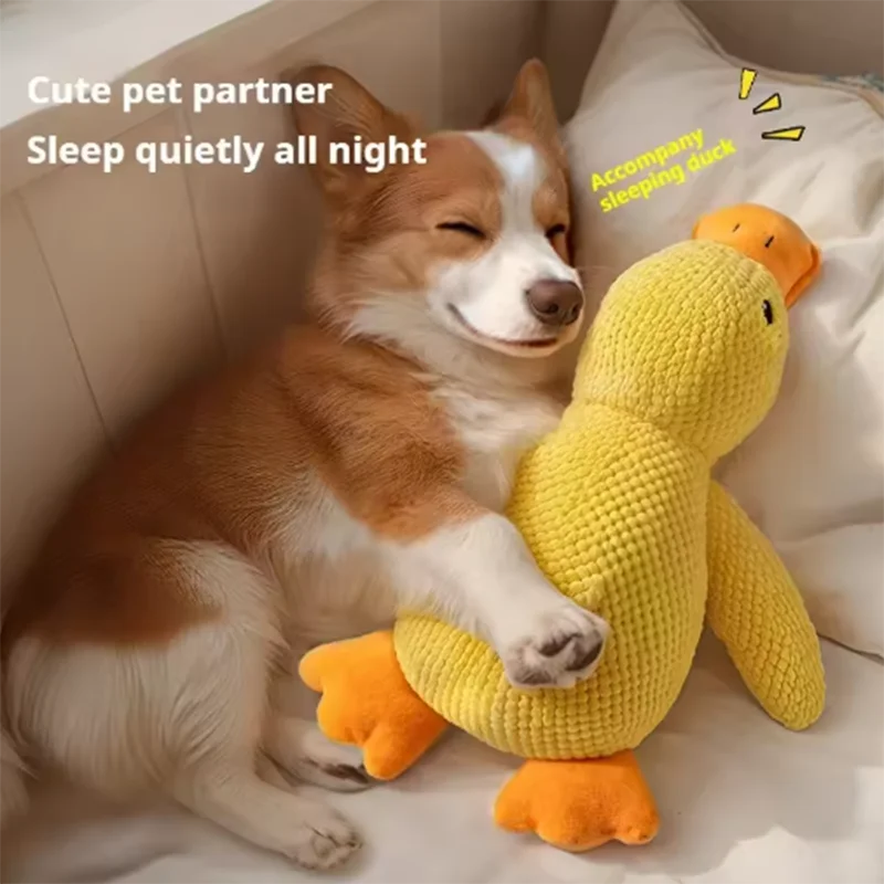 Jouet canard sonore pour chien