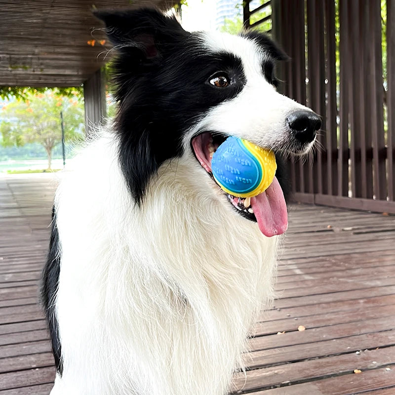 Jouet interactif squeaky pour chien