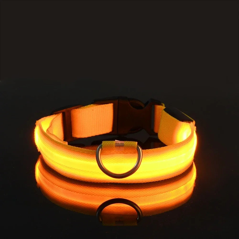 Collier LED lumineux pour chien