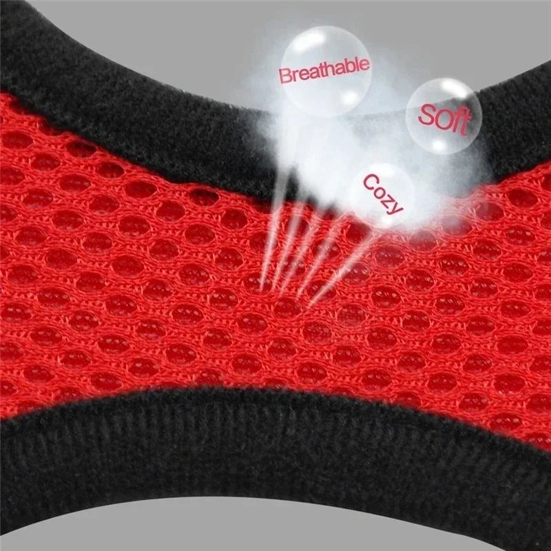 Harnais gilet ajustable pour chat et chien