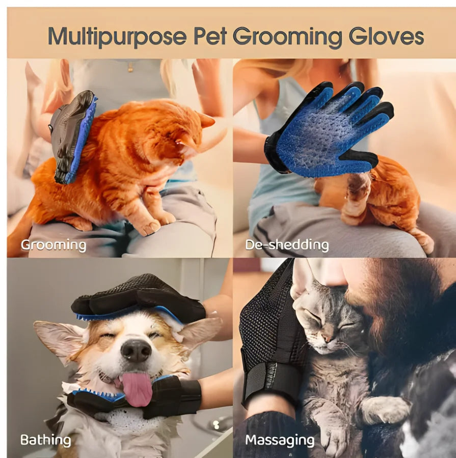 Gant de toilettage pour chien et chat