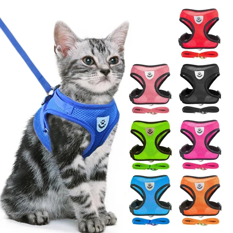 Harnais gilet ajustable pour chat et chien