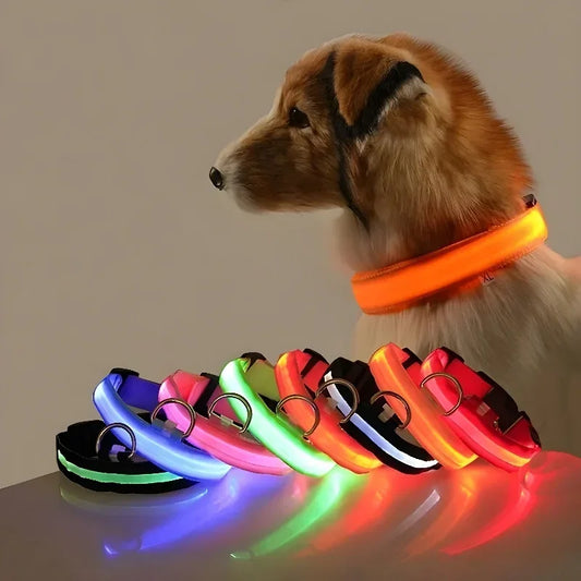 Collier LED lumineux pour chien