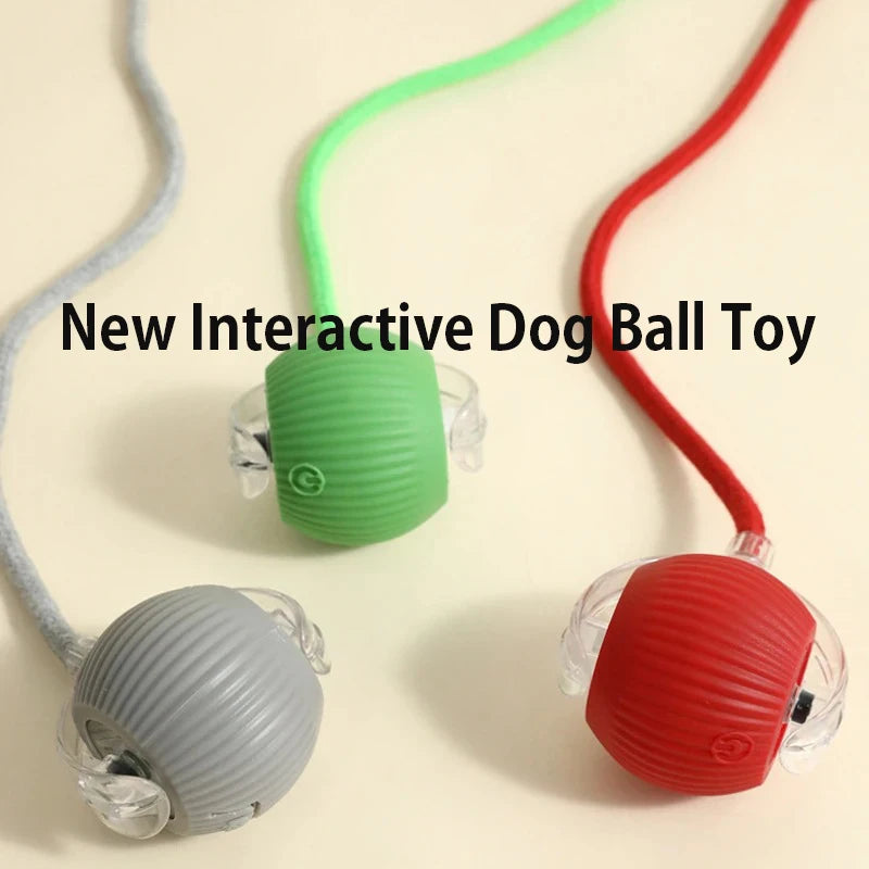 Balle interactive automatique pour chien