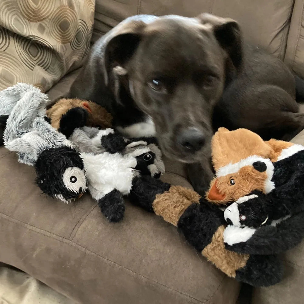 Jouet peluche sans rembourrage pour chien