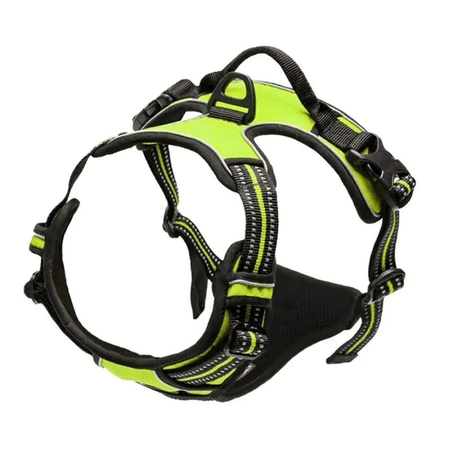 Harnais et laisse en cuir pour chien