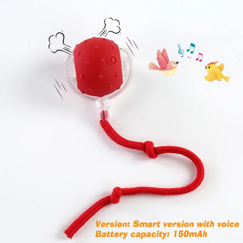 Balle interactive automatique pour chien