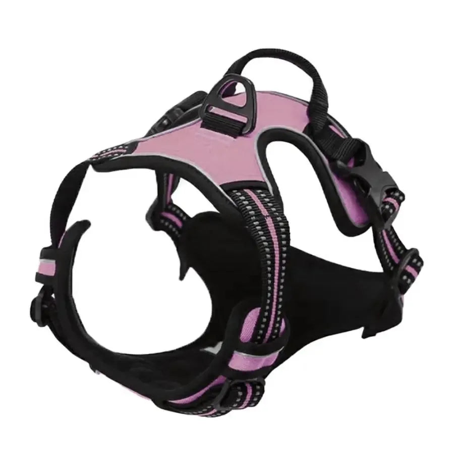 Harnais et laisse en cuir pour chien