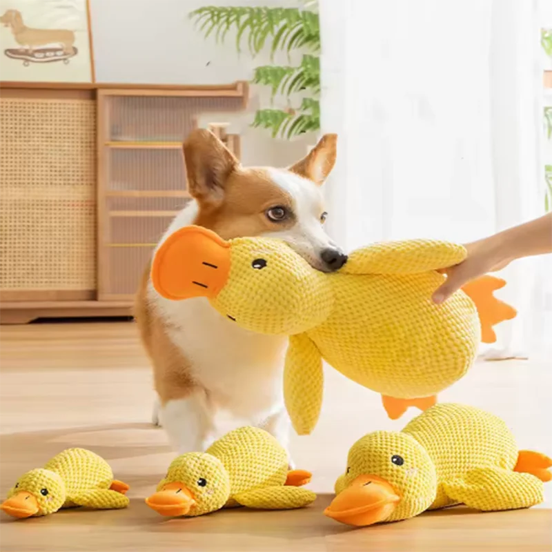 Jouet canard sonore pour chien