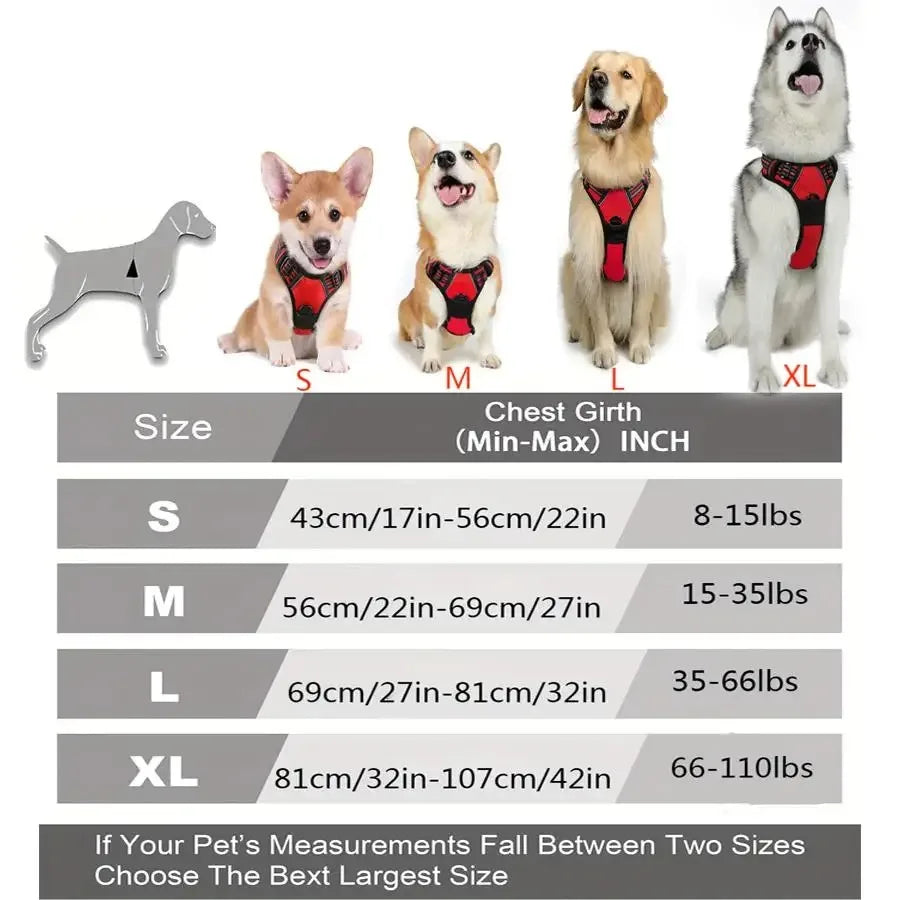 Harnais et laisse en cuir pour chien