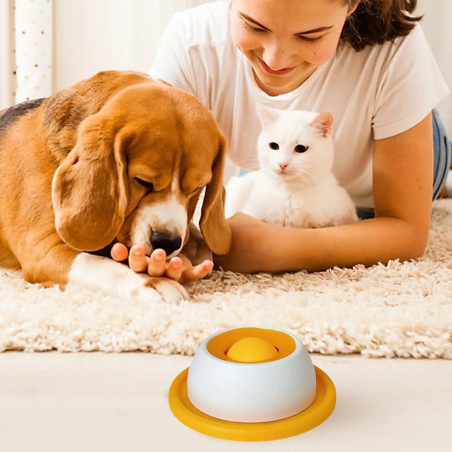 Jouet puzzle distributeur de friandises pour chien