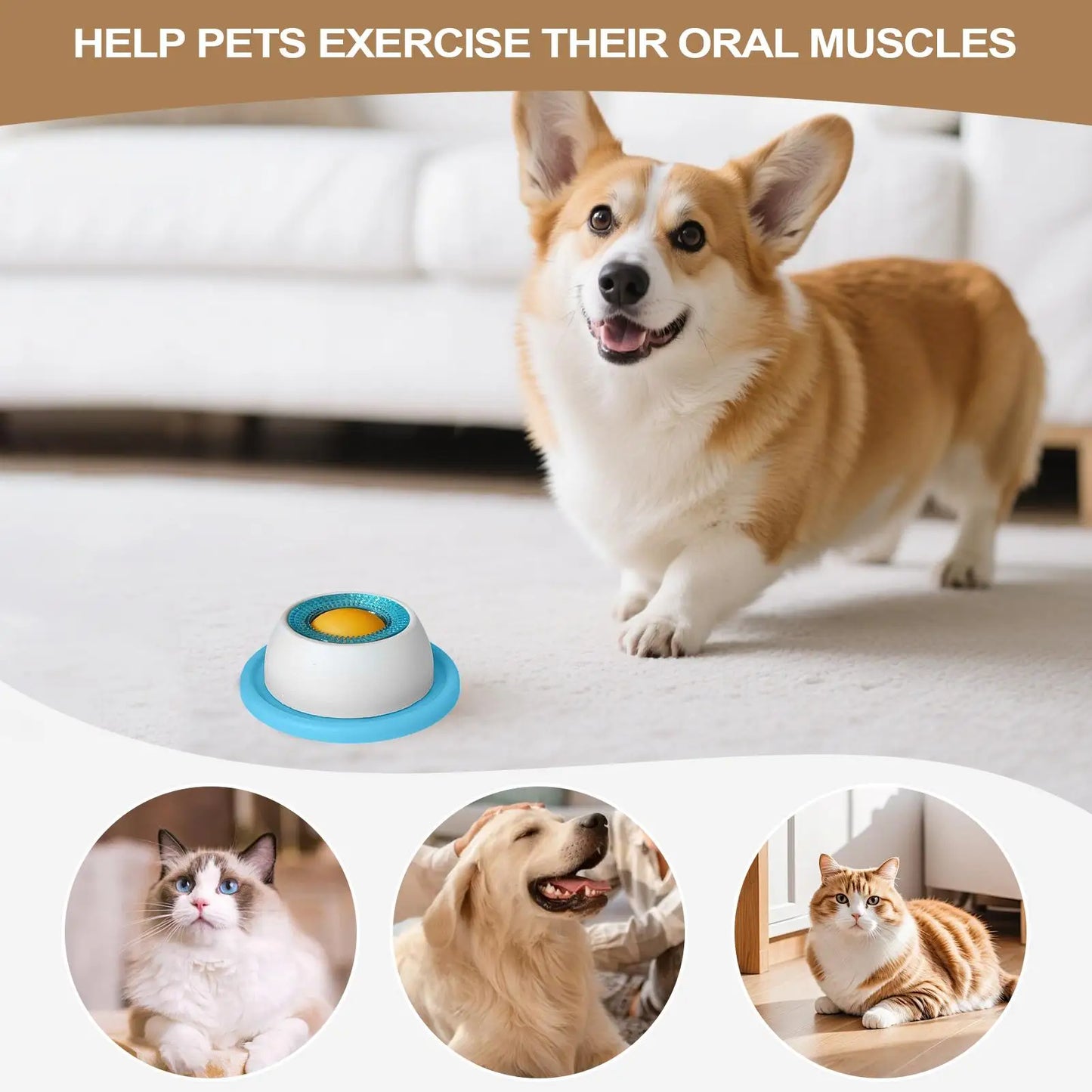Jouet puzzle distributeur de friandises pour chien