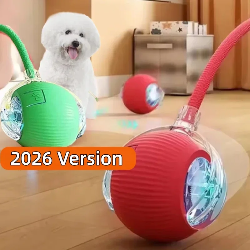 Balle interactive automatique pour chien