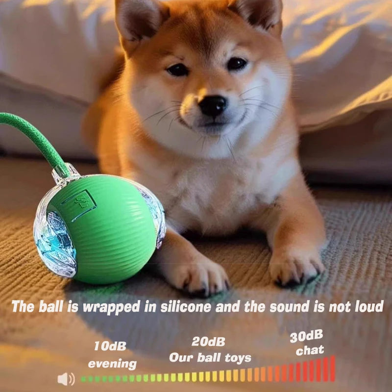 Balle interactive automatique pour chien