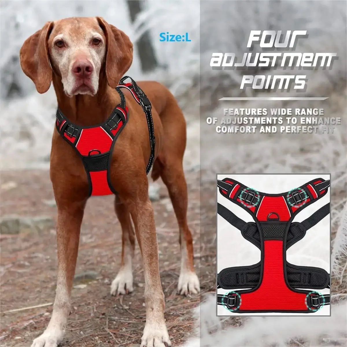 Harnais et laisse en cuir pour chien