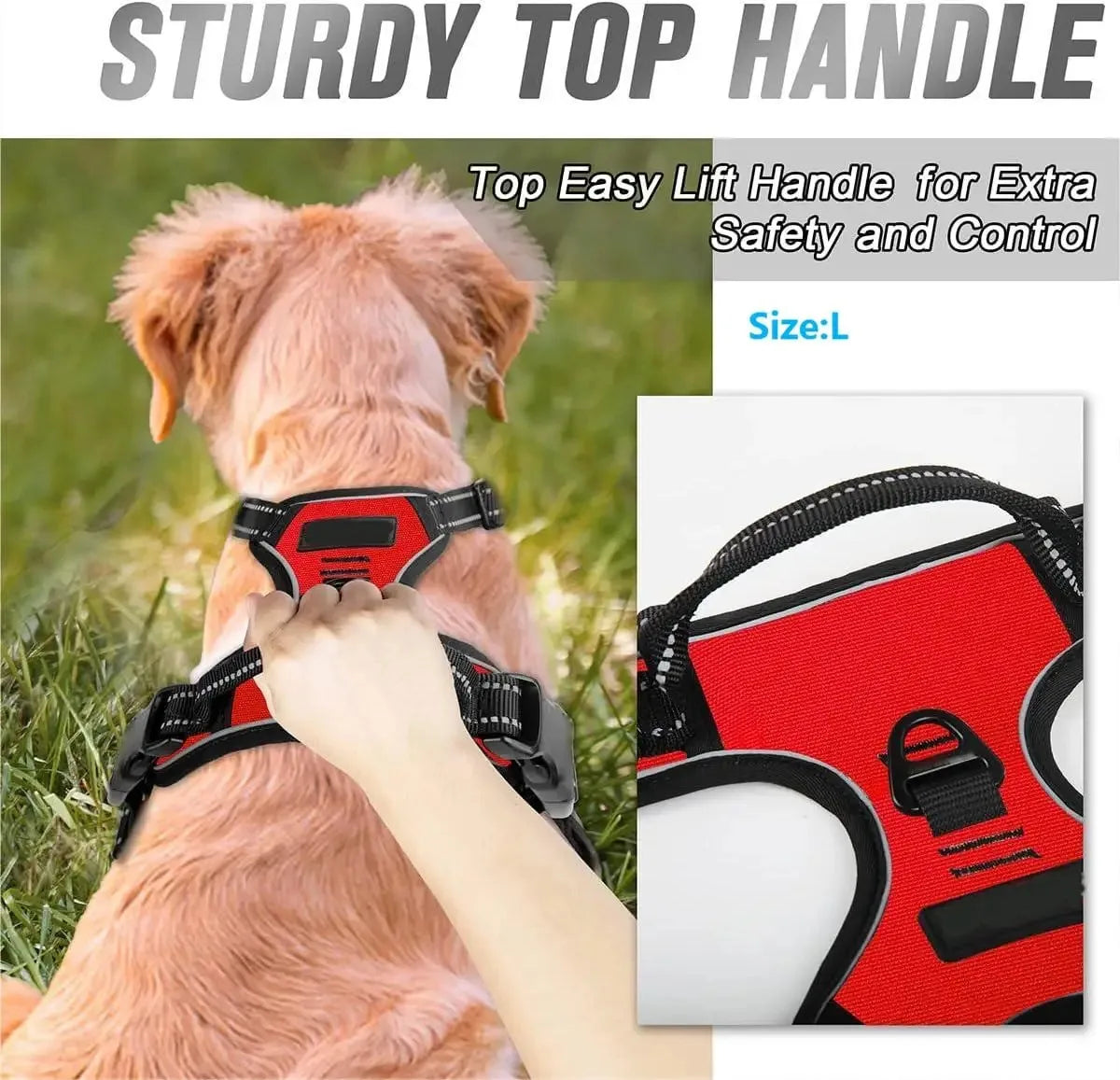 Harnais et laisse en cuir pour chien