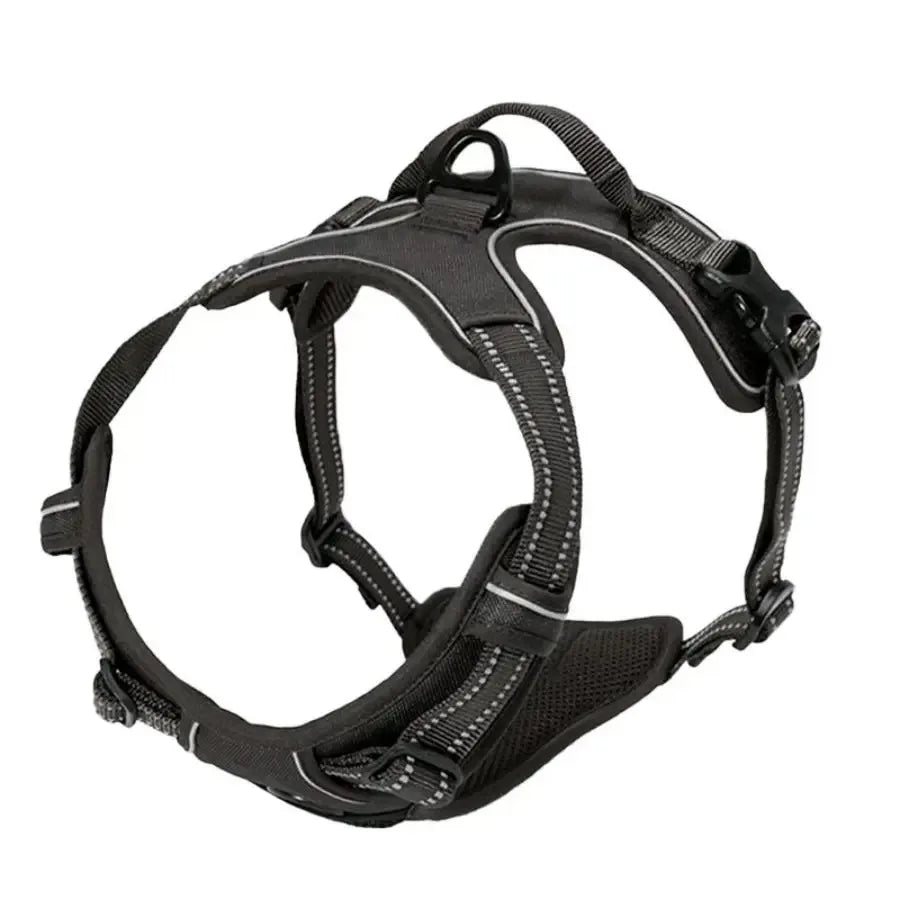 Harnais et laisse en cuir pour chien